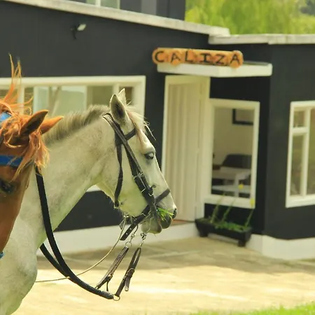 Glamping Caliza La Calera-3